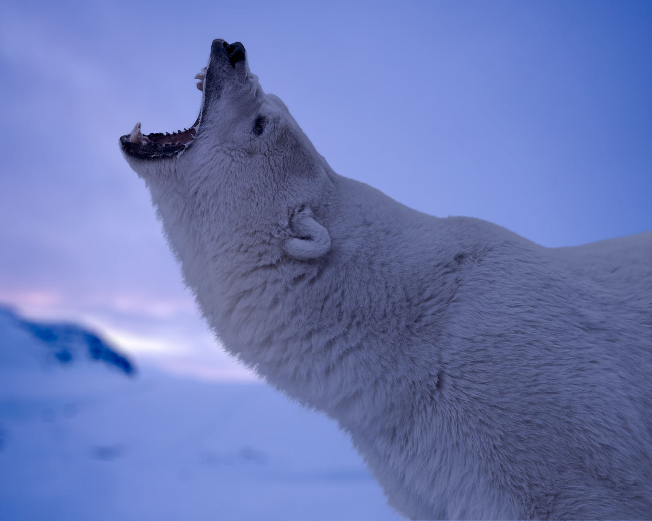 Белый полярный медведь с открытой пастью 