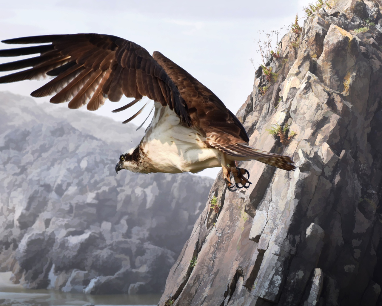 Большой хищный сокол летит у горы 