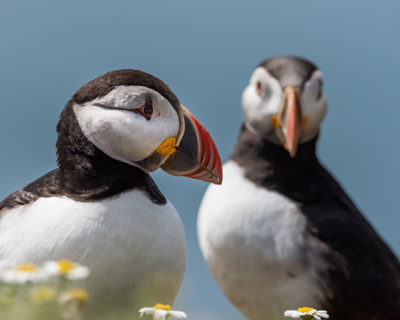 Два тупика на фоне голубого неба 
