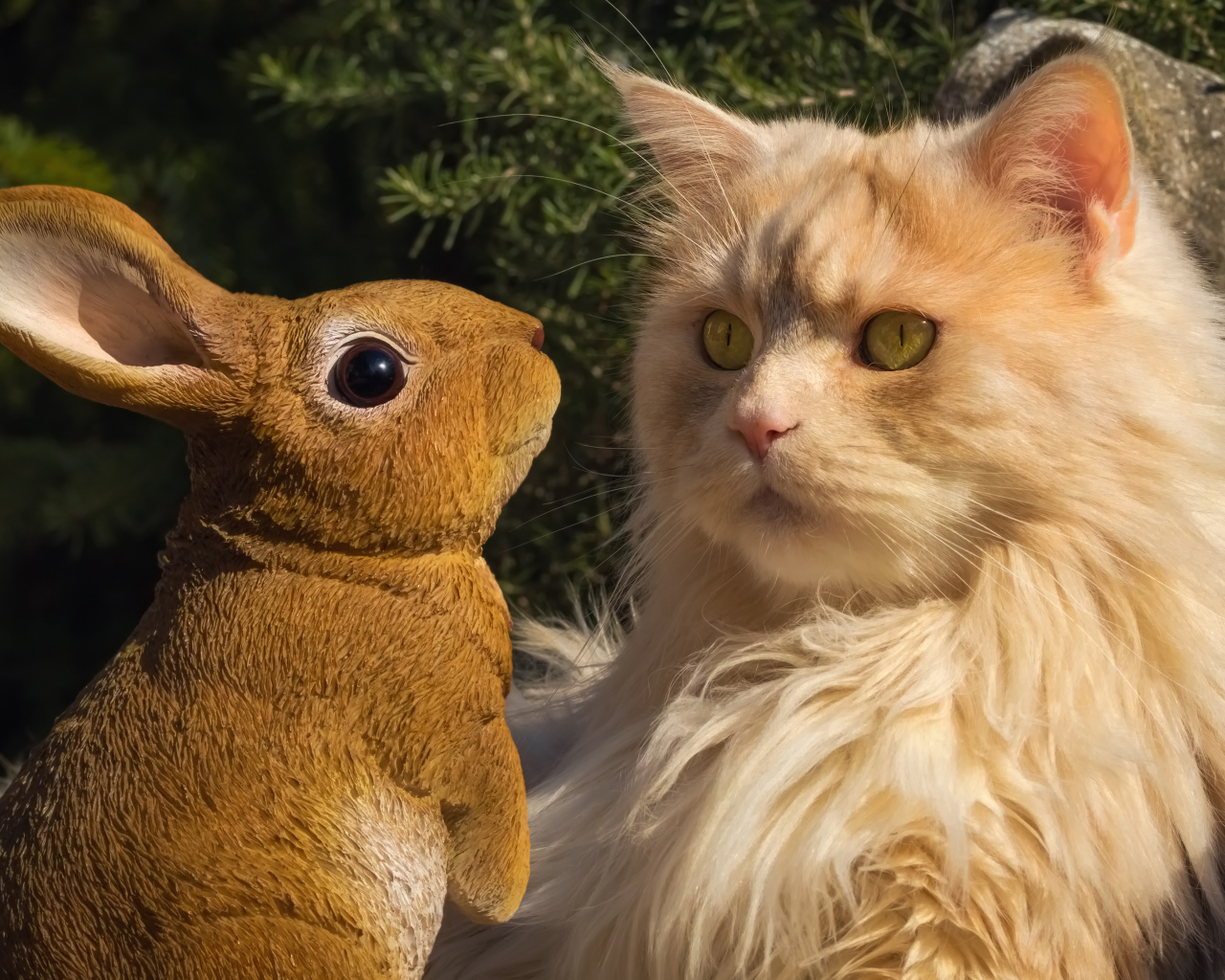 Пушистый рыжий кот сидит в парке со статуэткой кролика 
