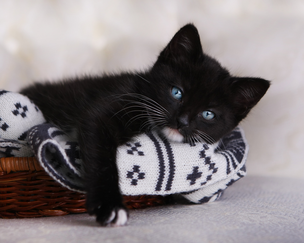 Маленький черный котенок лежит в корзинке 