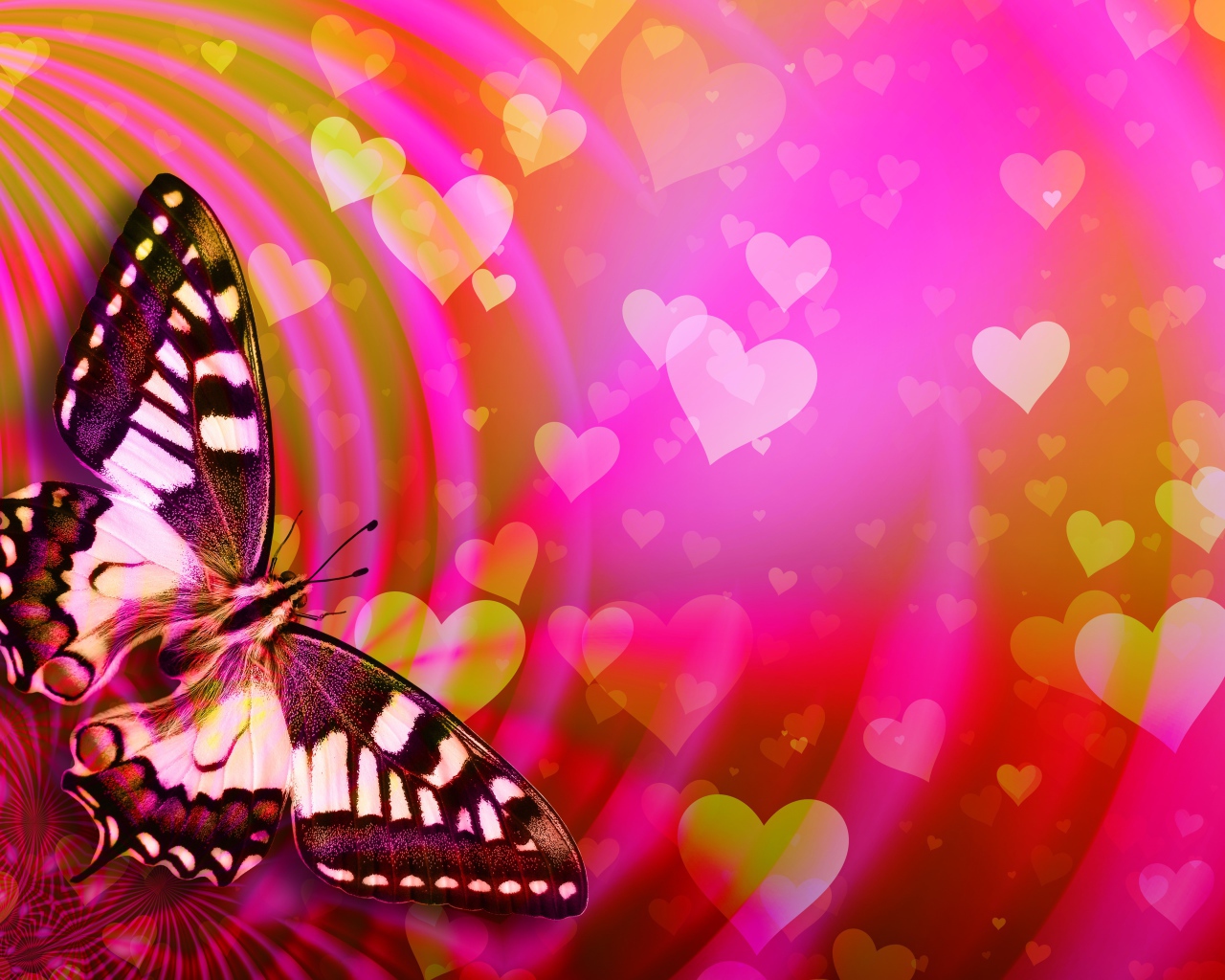 Большая бабочка махаон сидит на розовом фоне с сердечками