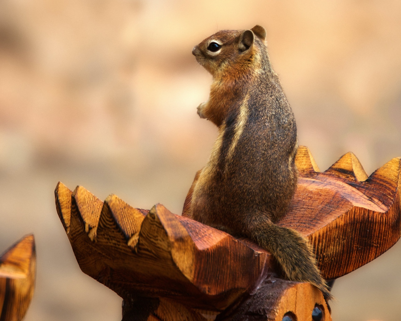 Бурундук сидит на деревянной скульптуре 