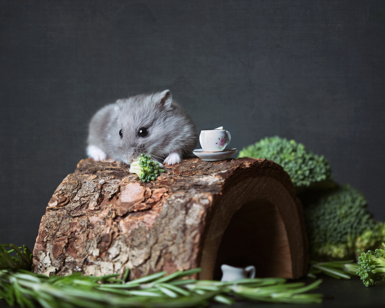 Маленький мышонок на столе с брокколи и розмарином 