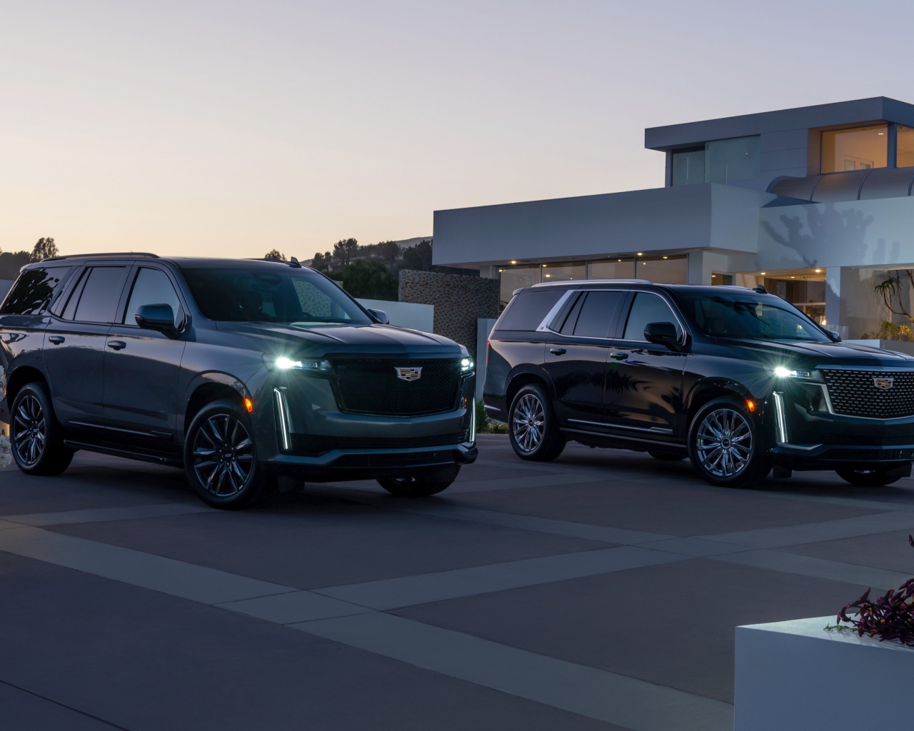 Два дорогих автомобиля  Cadillac Escalade, 2021 года у дома