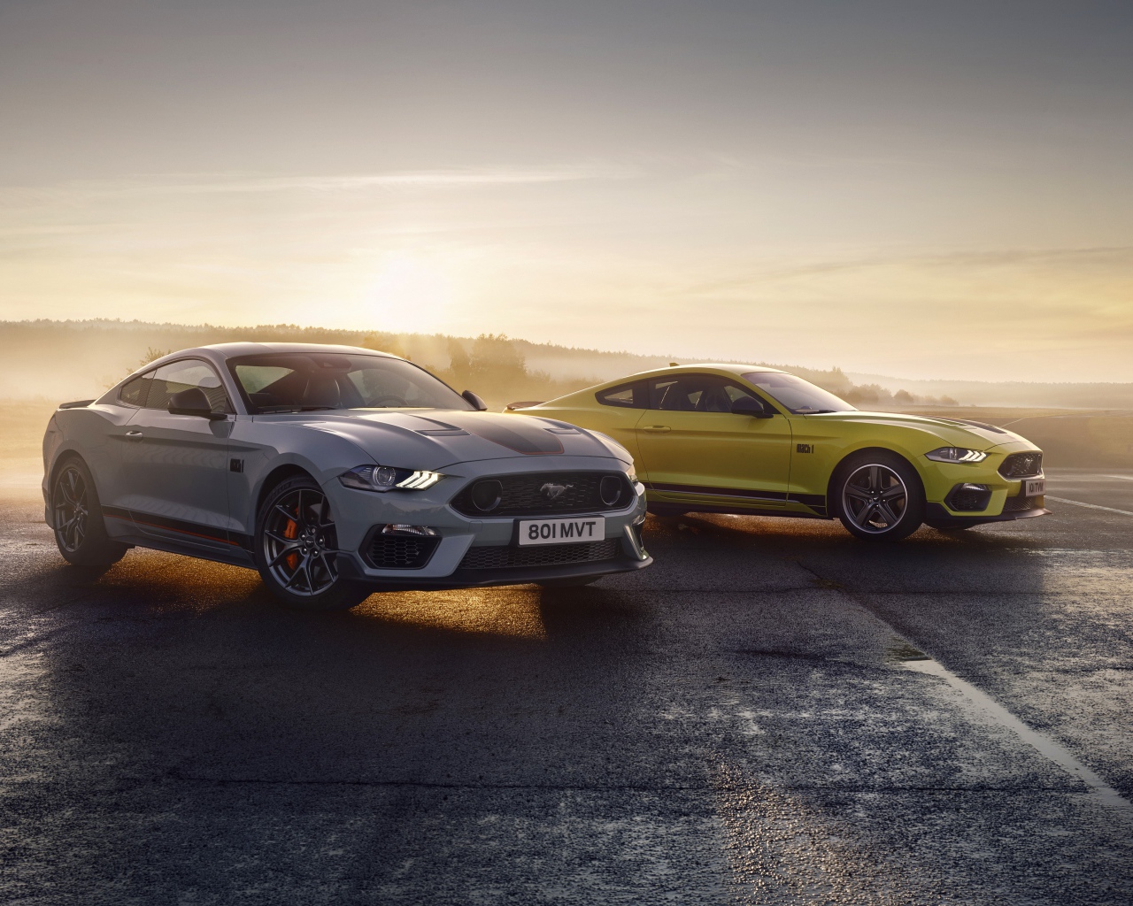 Два автомобиля Ford Mustang Mach 1 2021 года туманным утром