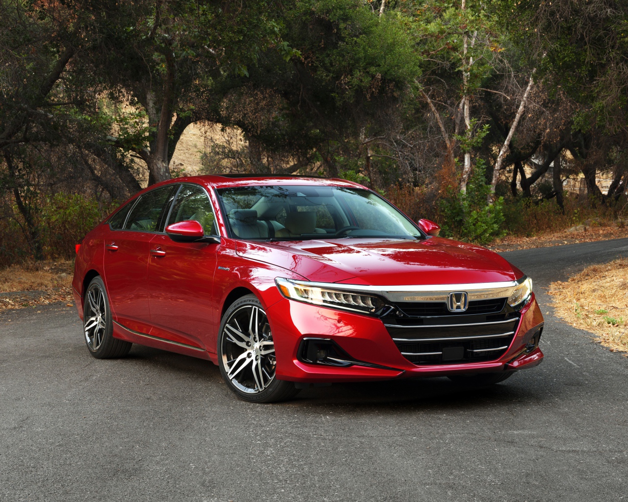 Красный автомобиль Honda Accord Touring Hybrid, 2021 года на дороге в парке