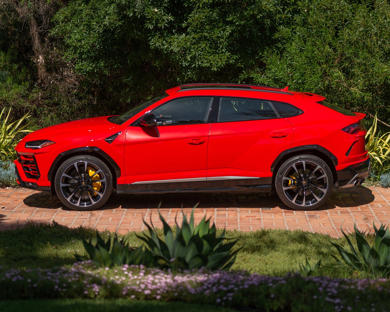 Красный автомобиль Lamborghini Urus вид сбоку 