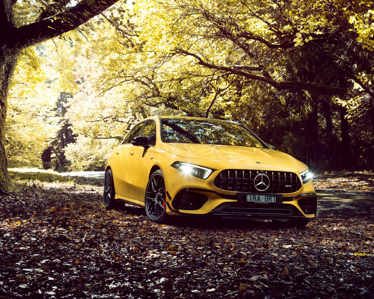 Желтый автомобиль Mercedes-AMG A 45 S,  2020 года в осеннем лесу 
