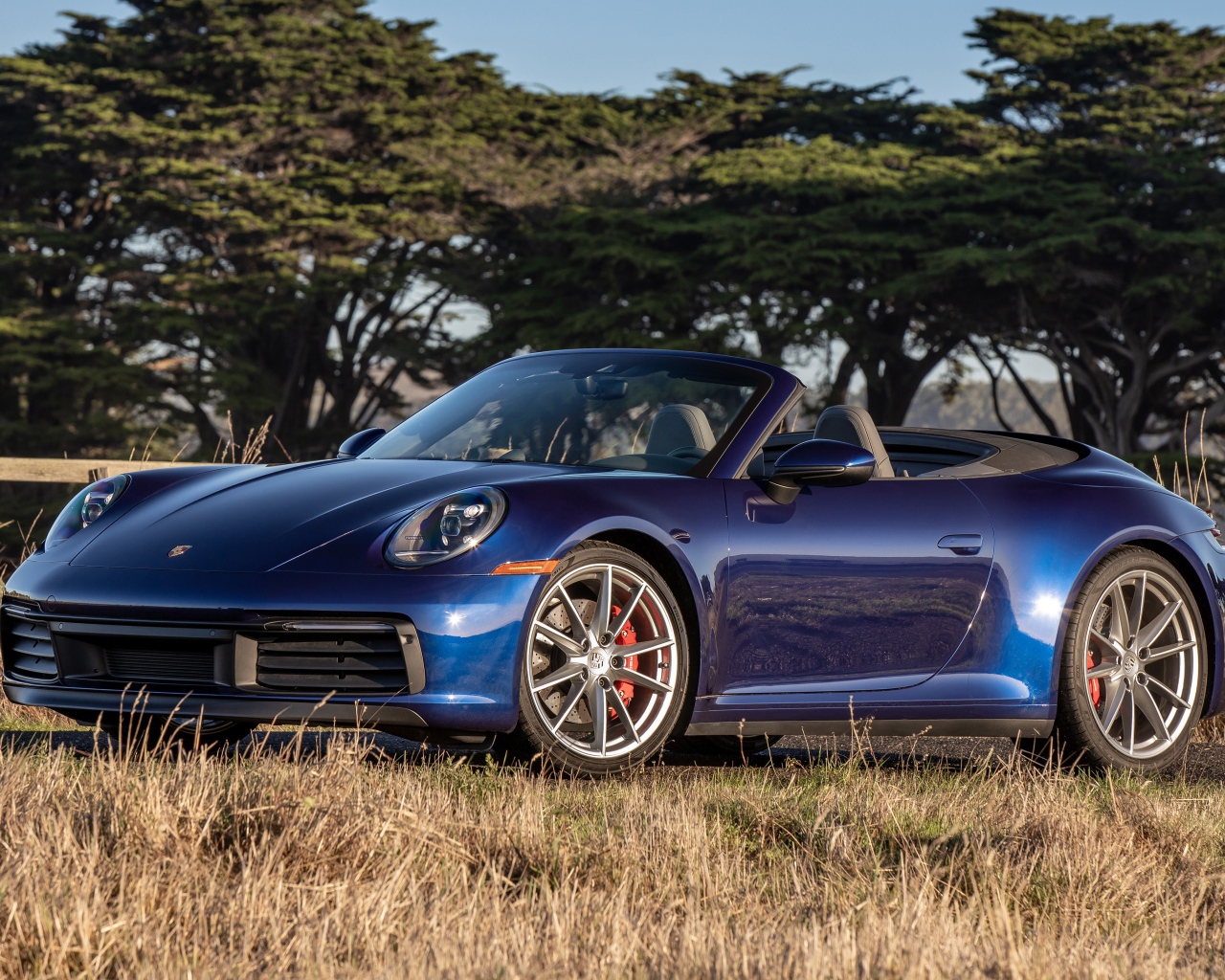 Автомобиль Porsche 911 Carrera S, 2020 года на фоне деревьев 