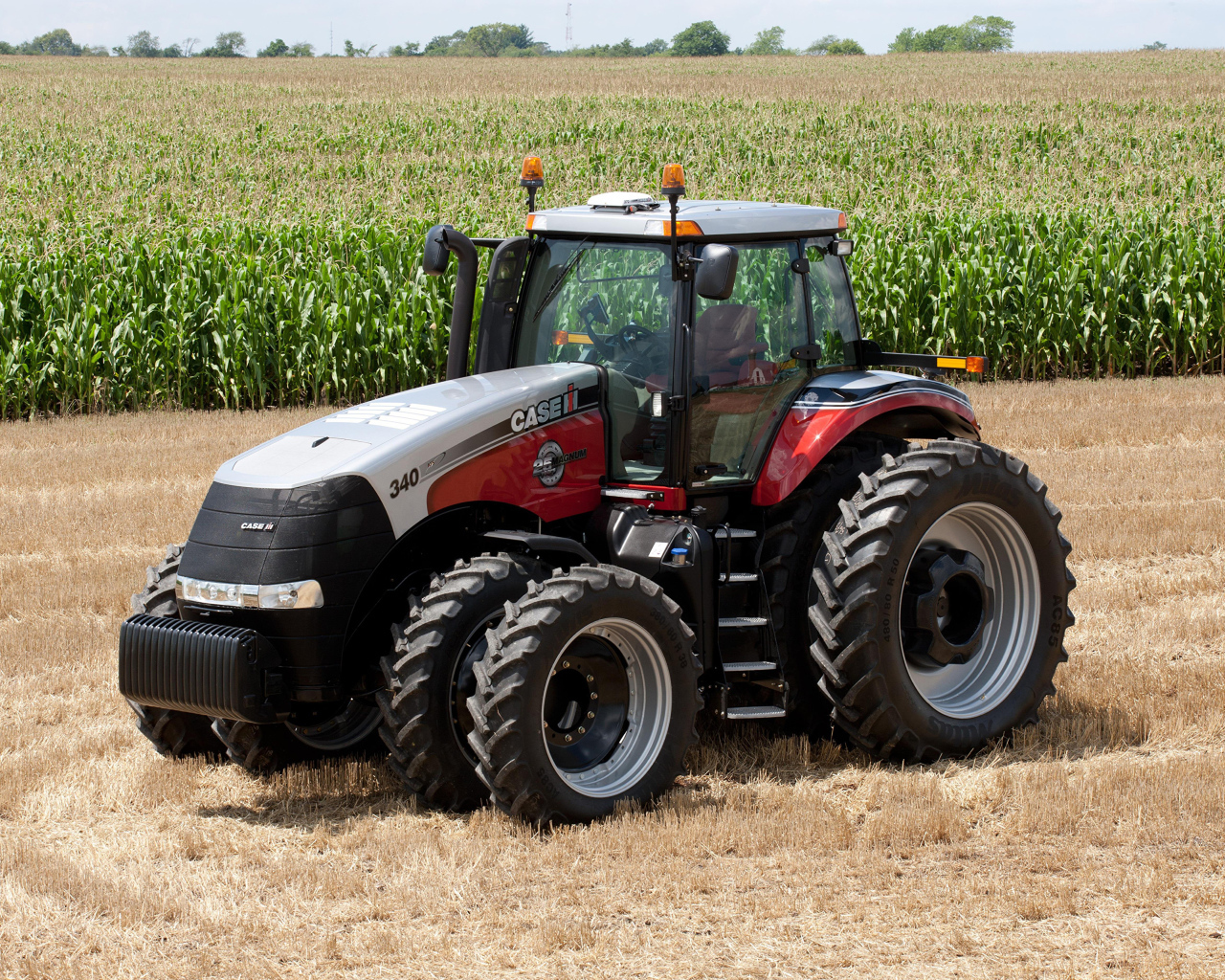 Трактор Case на кукурузном поле 