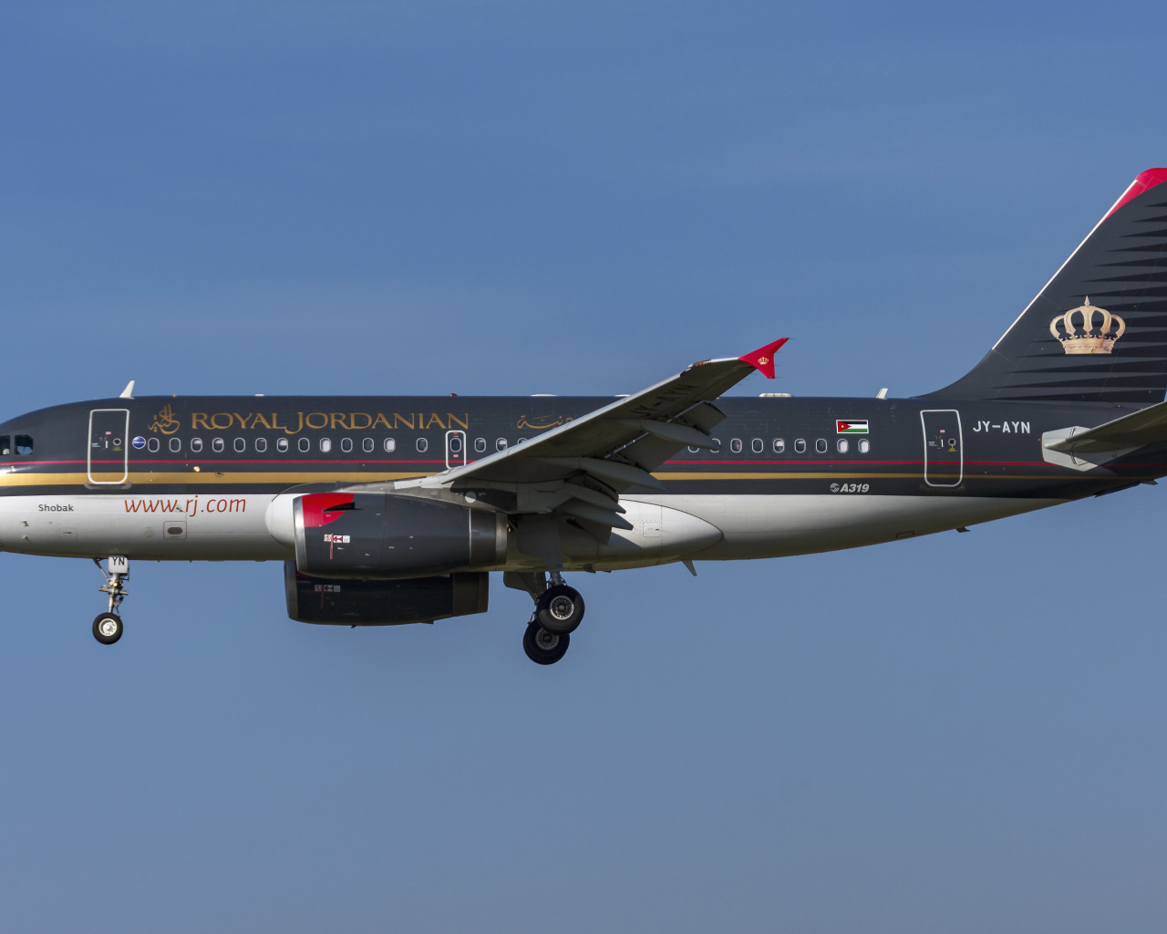 Пассажирский  Airbus A319-100 авиакомпании  Royal Jordanian в небе 