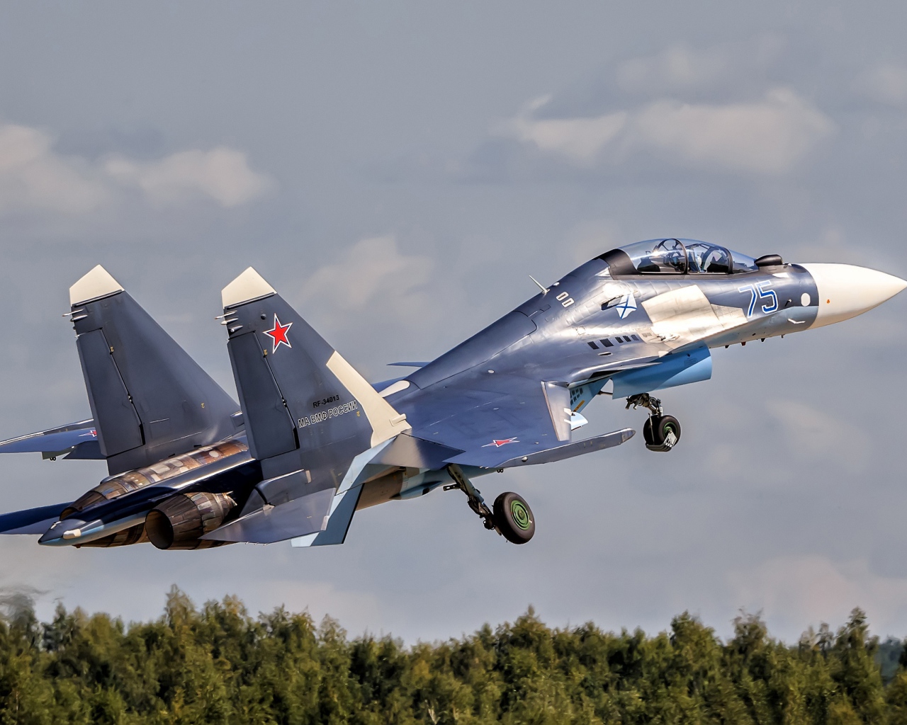 Истребитель Су-30 Su-30SM взлетает в небо 