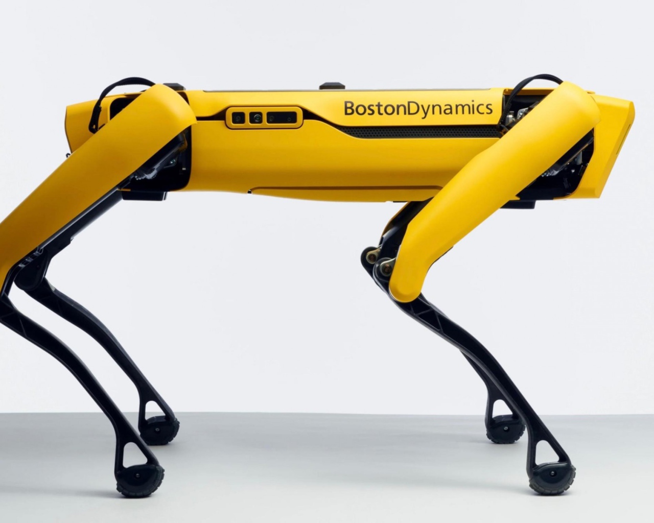 Желтый четвероногий робот Спот на белом фоне