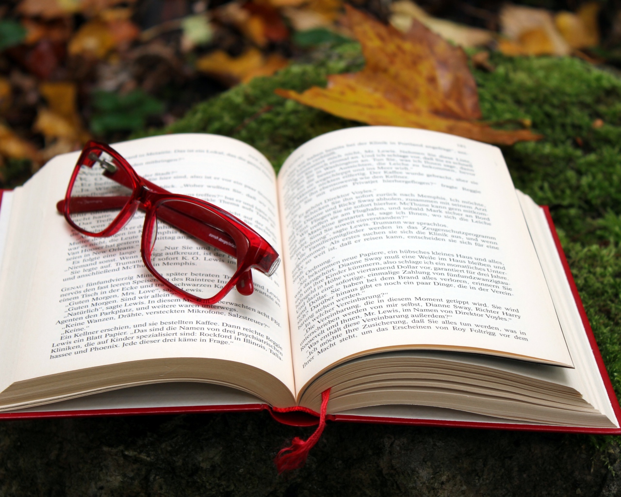 Книга с красными очками лежит на земле 