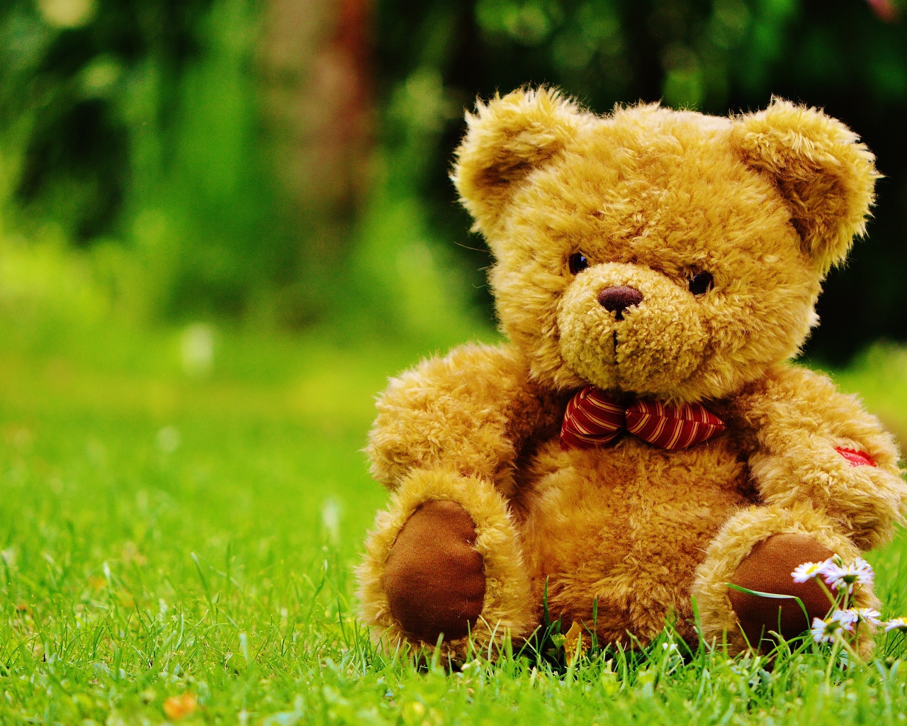 Красивый плюшевый медведь на зеленой траве 