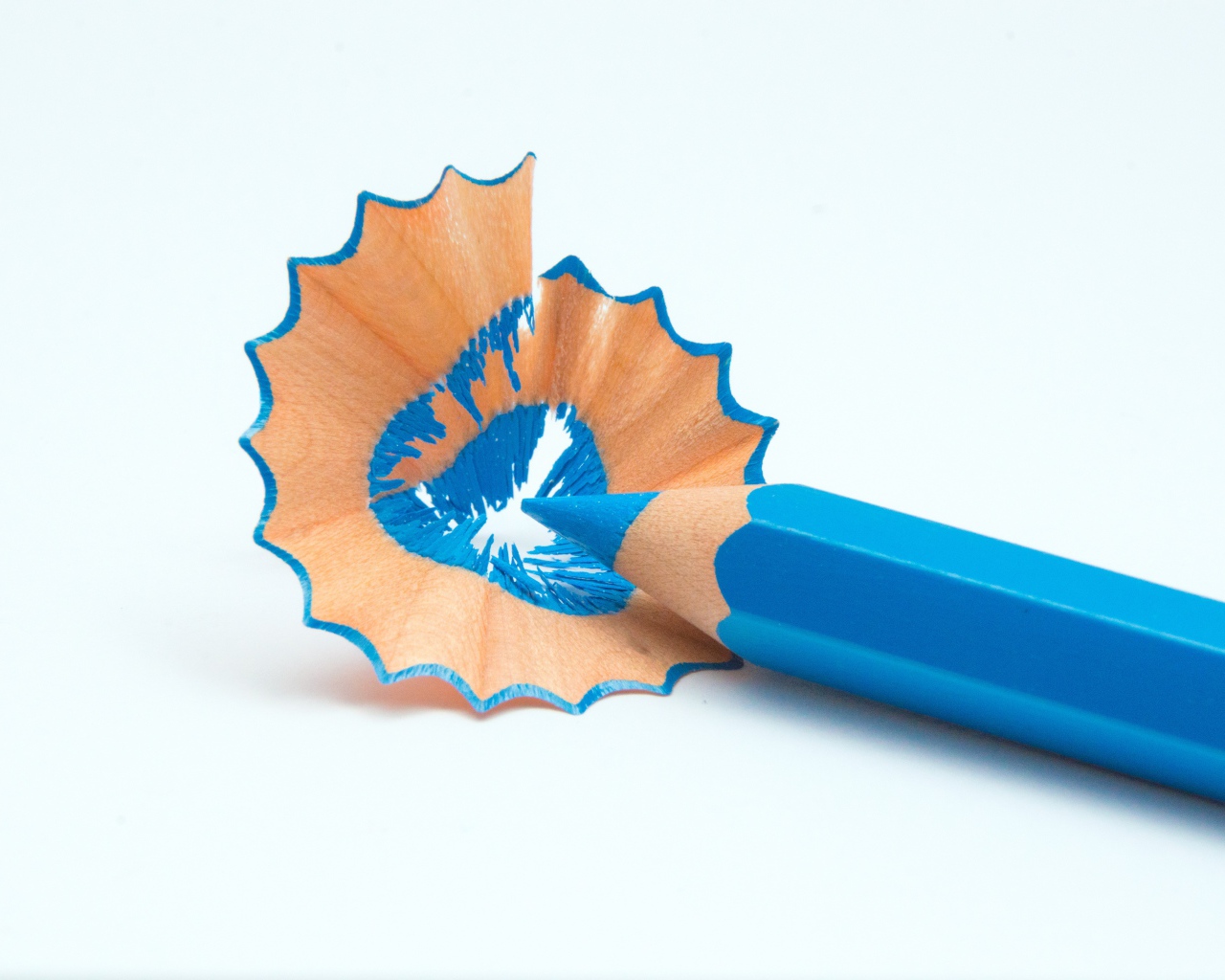 Голубой карандаш со стружкой на белом фоне