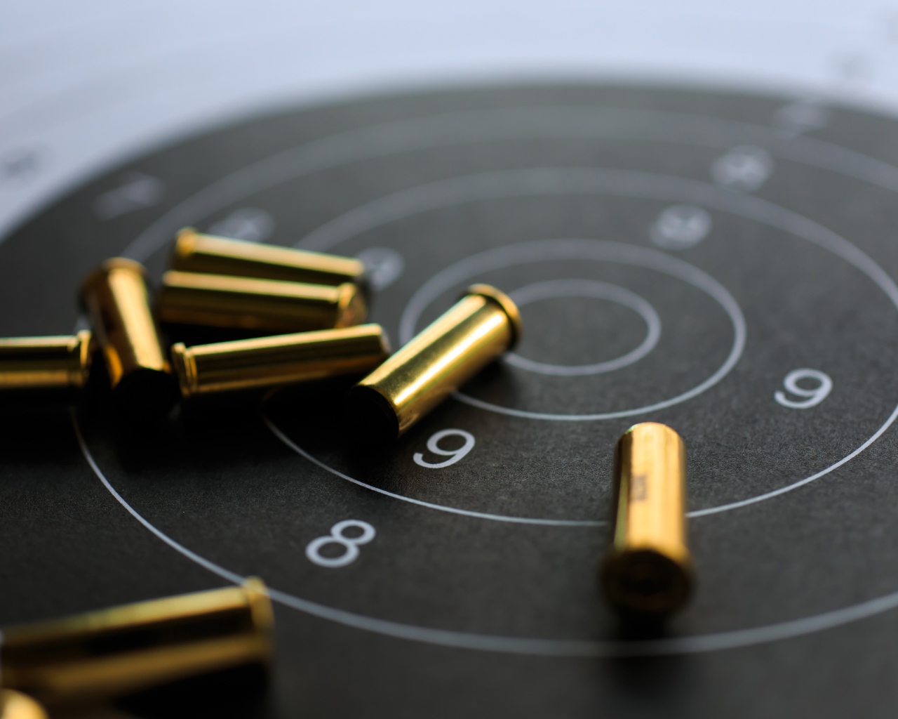 Мишень с патронами крупным планом 