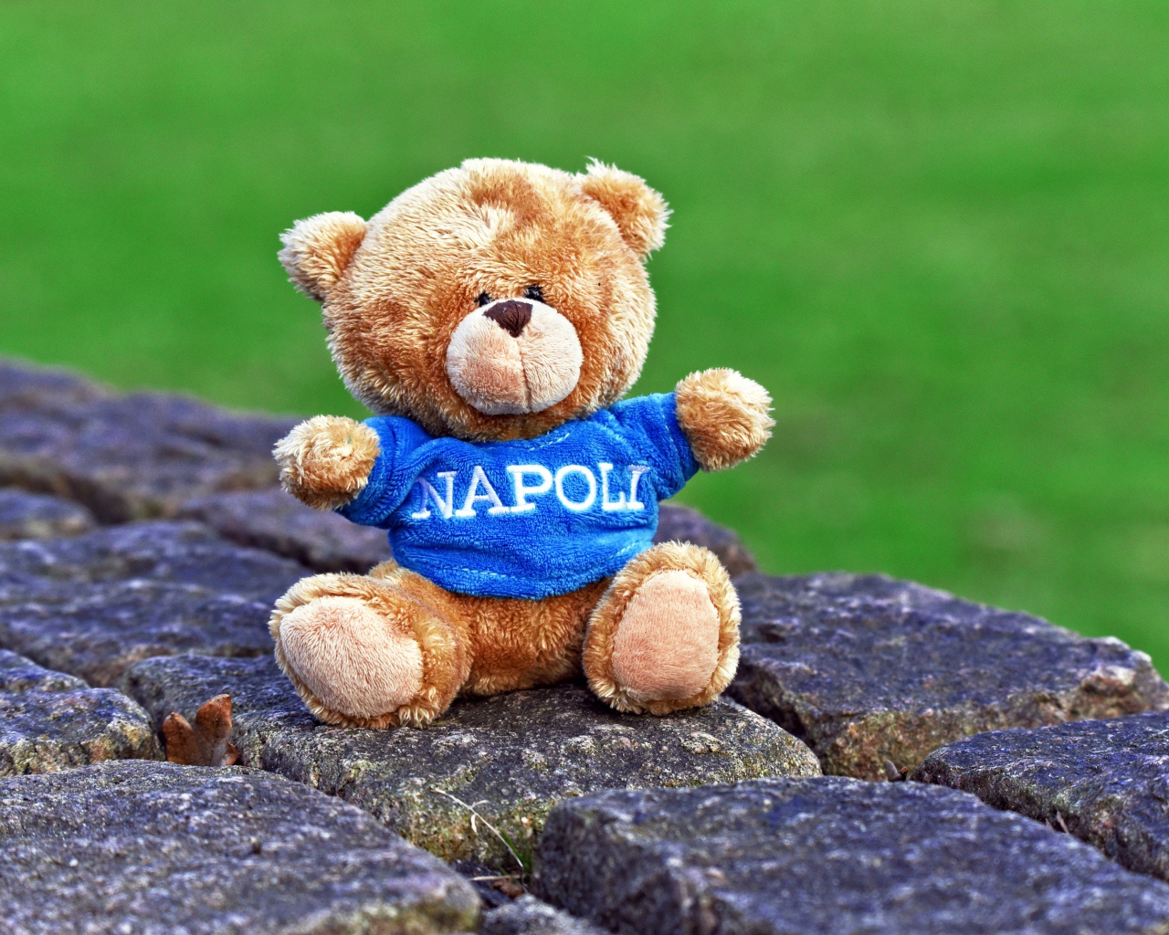 Маленький игрушечный медвежонок сидит на камнях 