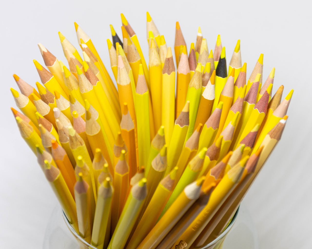 Много желтых карандашей на белом фоне крупным планом