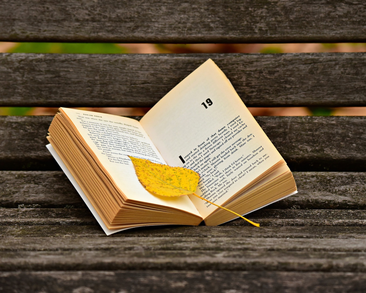 Открытая книга с желтым листом на лавке 