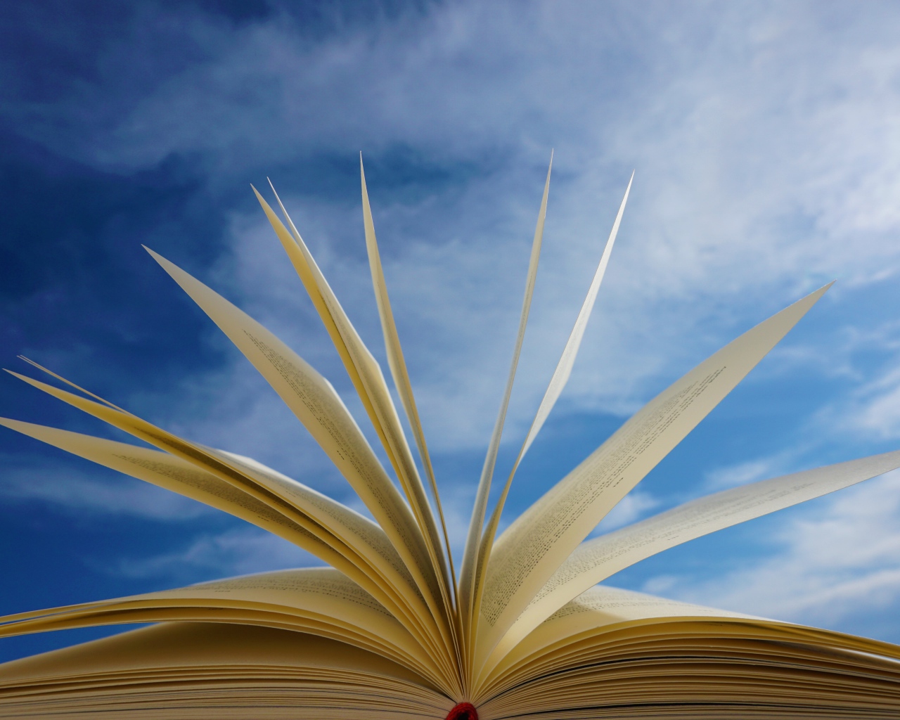 Открытые страницы книги на фоне голубого неба