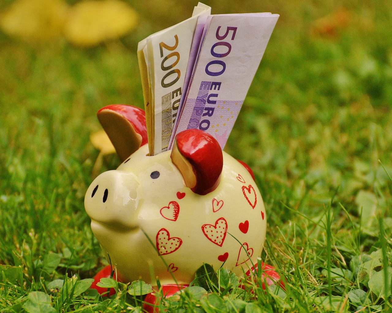 Свинья копилка с купюрами евро на траве