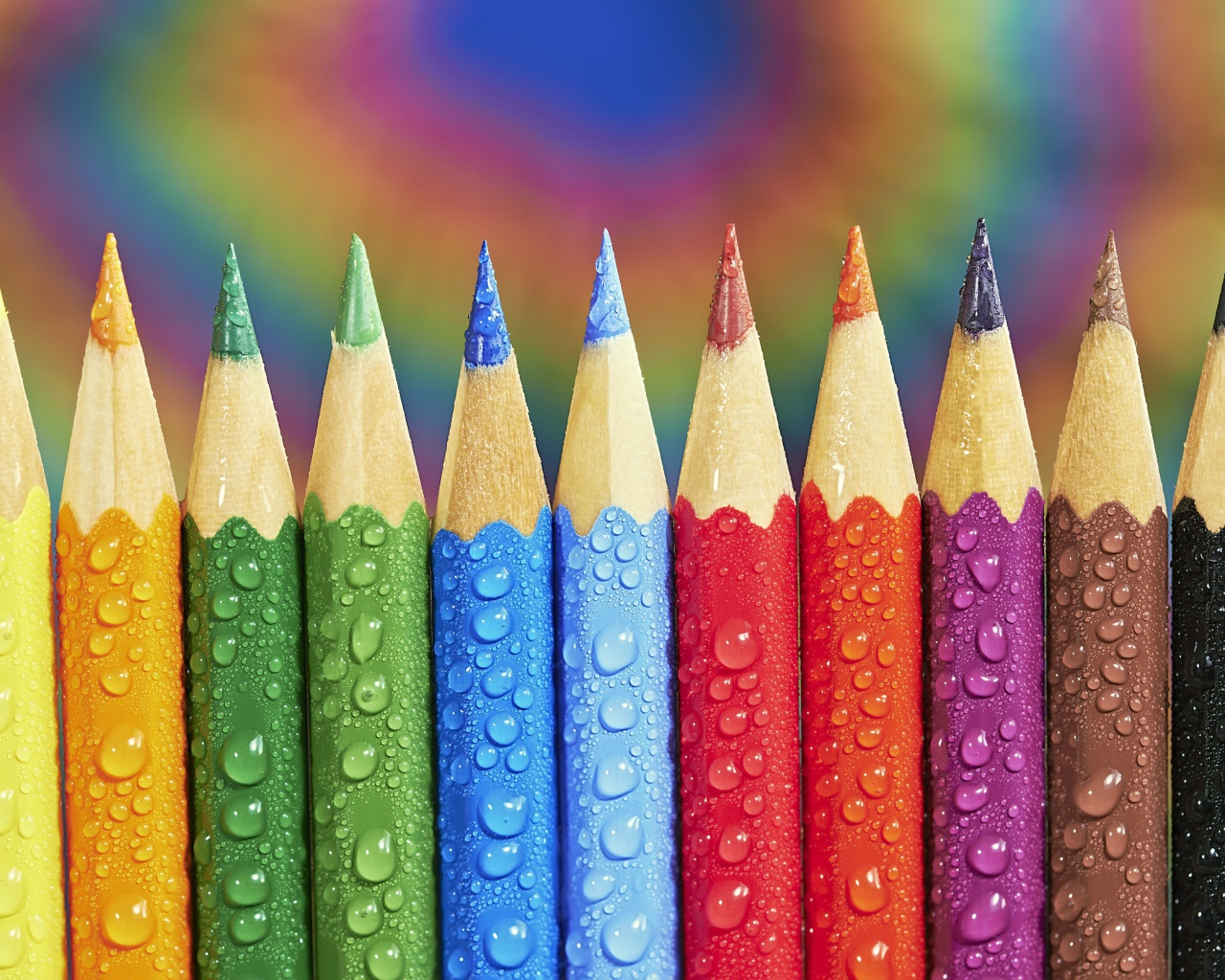 Заточенные разноцветные карандаши в каплях воды
