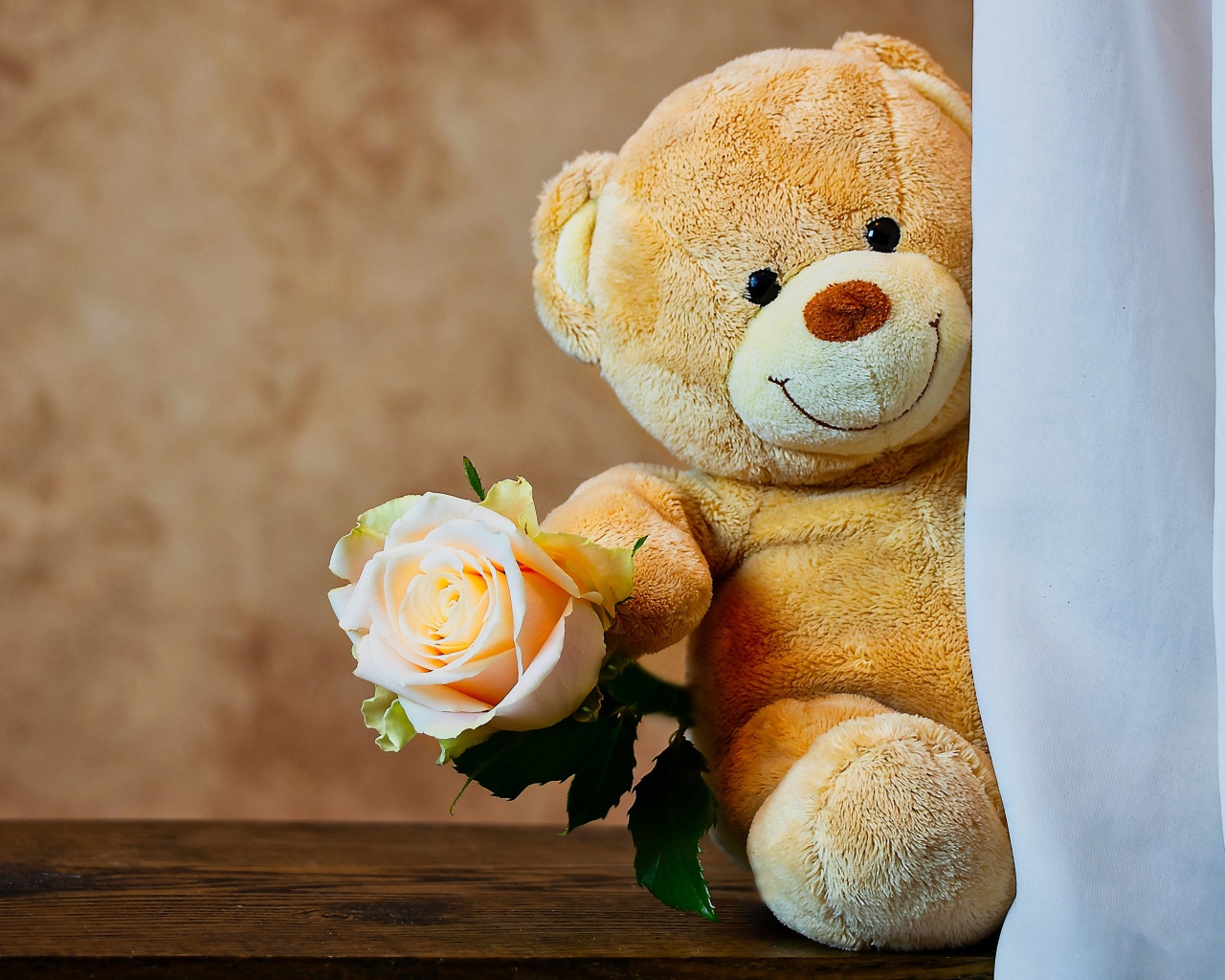 Медвежонок Тедди с розой за шторой 