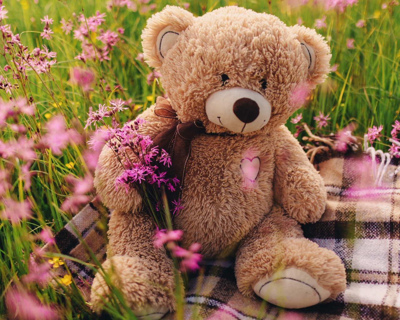 Медвежонок Тедди сидит в зеленой траве 