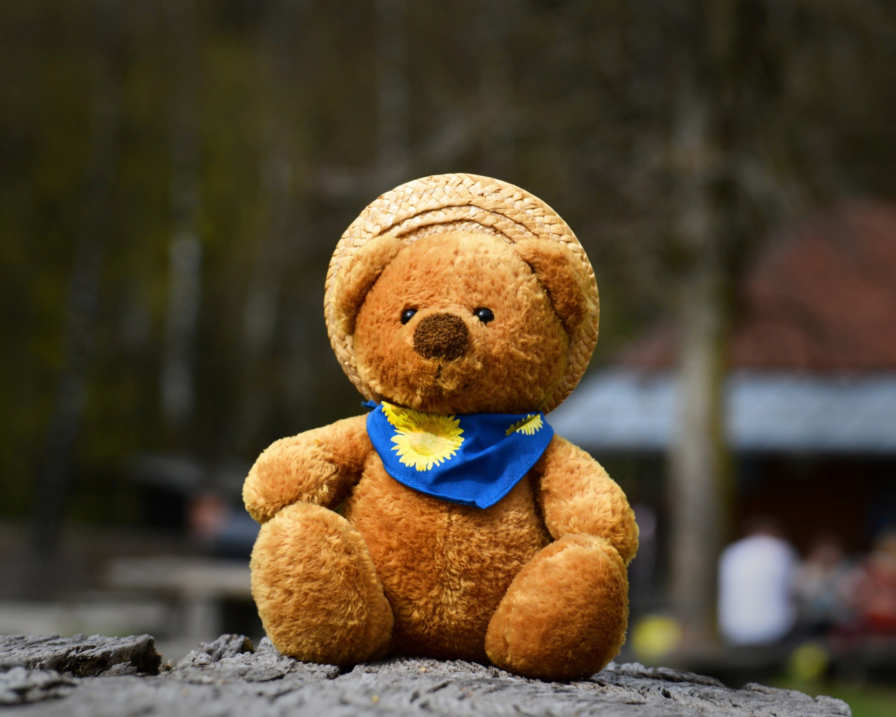 Плюшевый медвежонок в шляпе на земле 