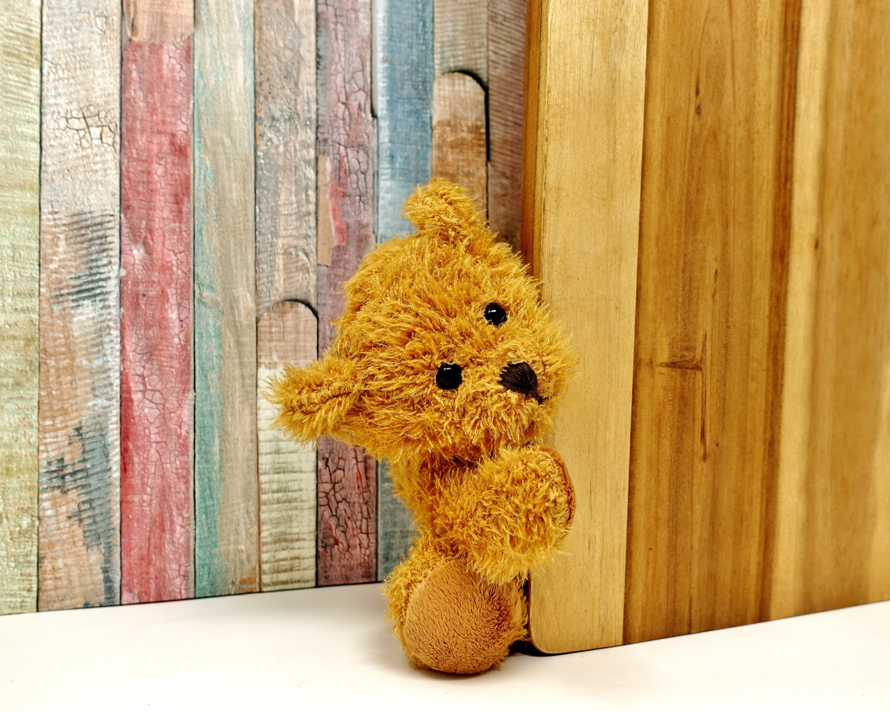 Медвежонок Тедди выглядывает из-за двери 