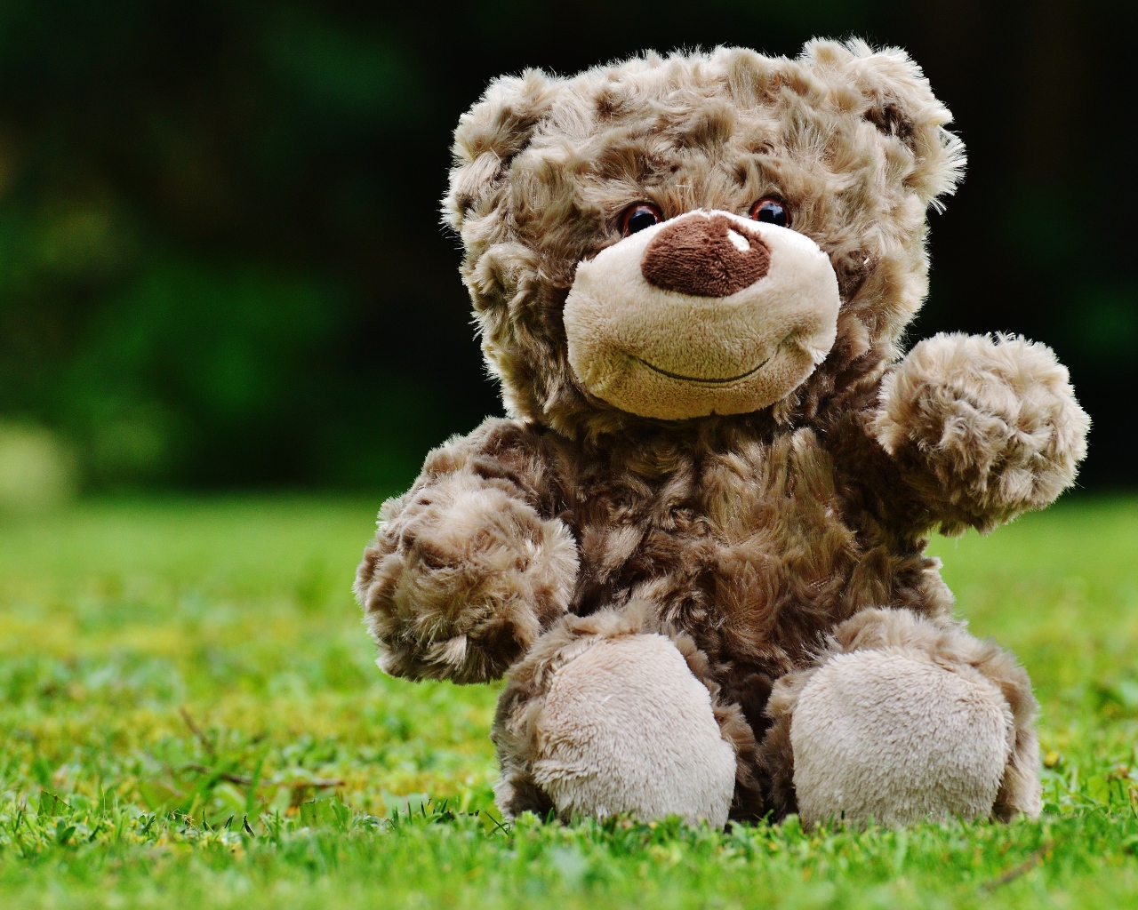 Игрушечный медвежонок сидит на зеленой траве