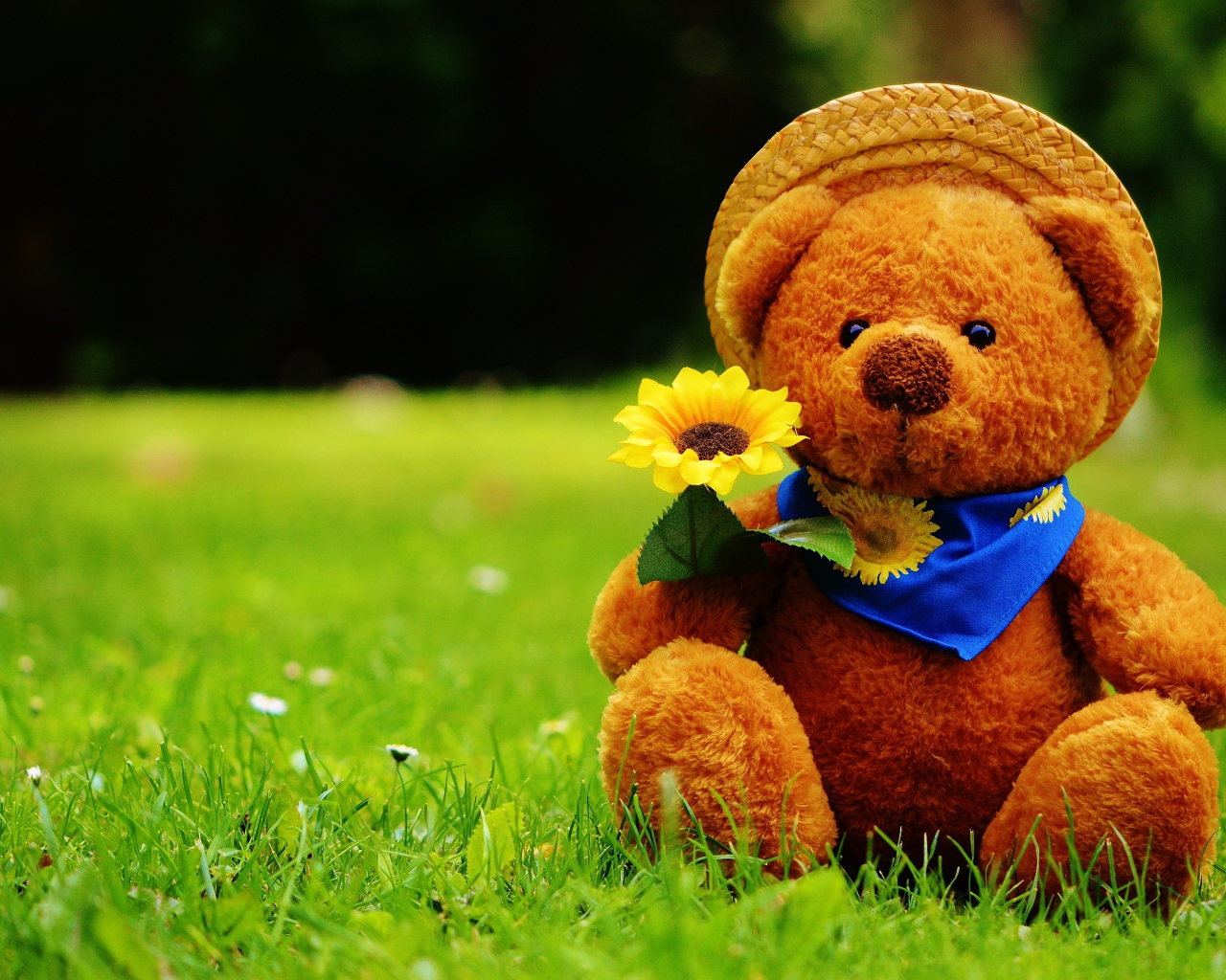 Мишка Тедди с цветком сидит на зеленой траве