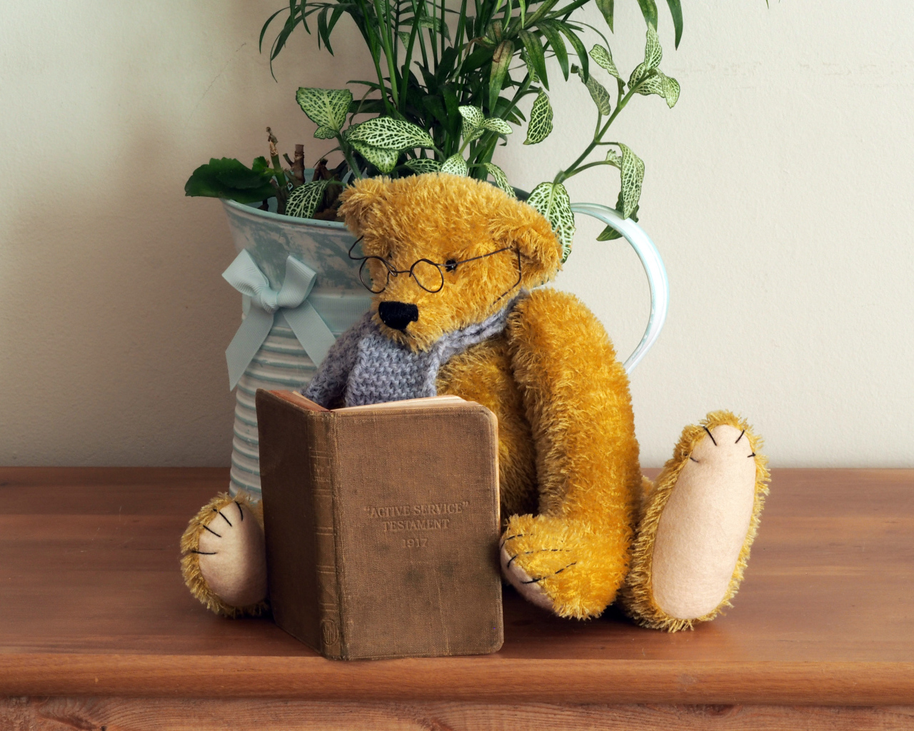 Медвежонок Тедди в очках с книгой на полке