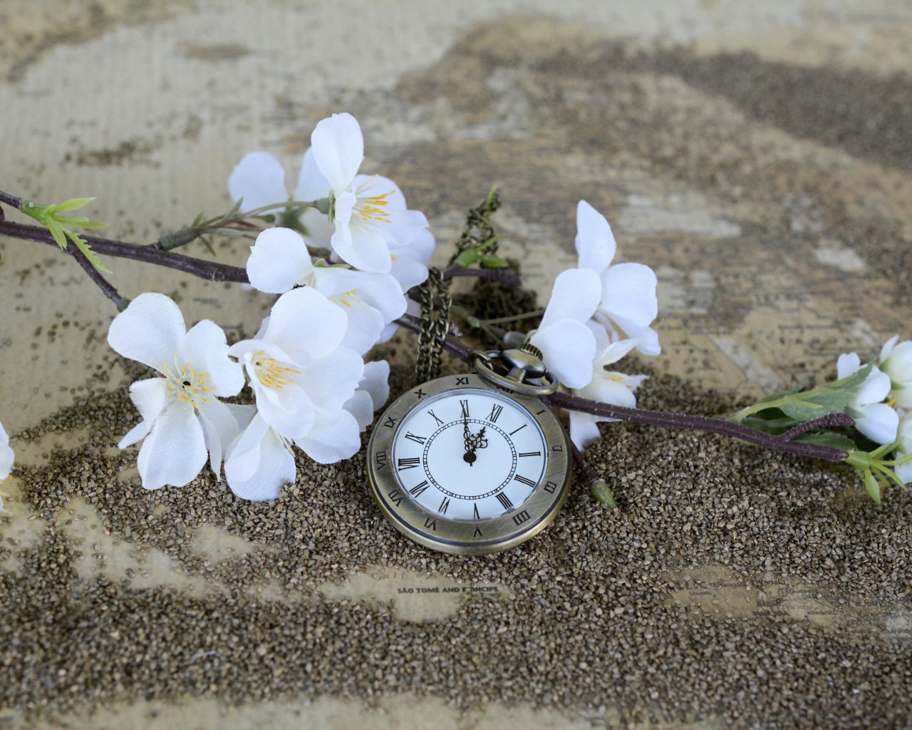 Часы лежат на земле с цветущей веткой 