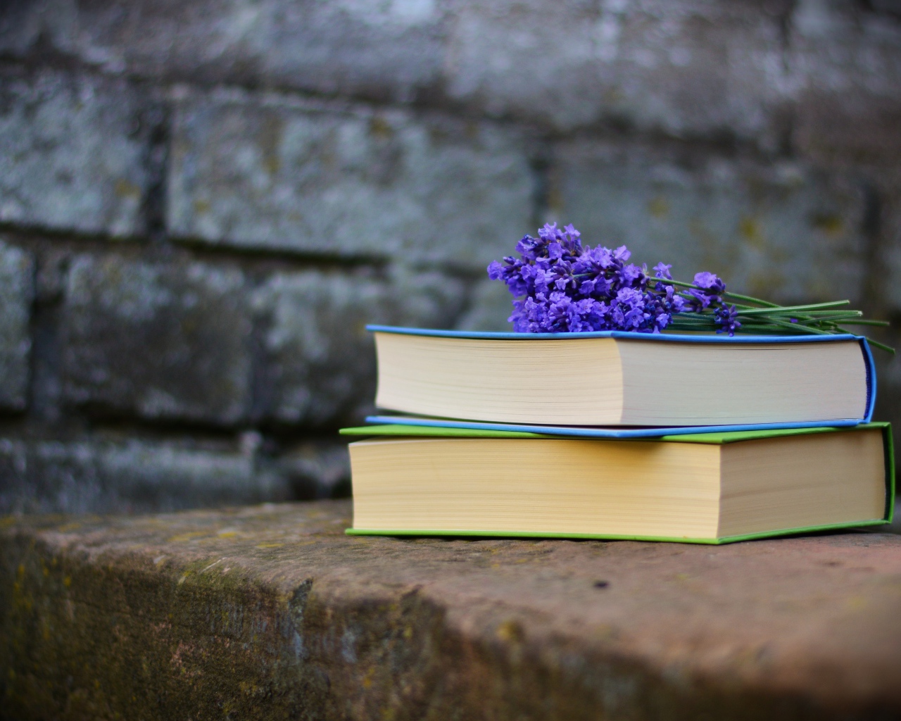 Две книги лежат на камне с цветами лаванды