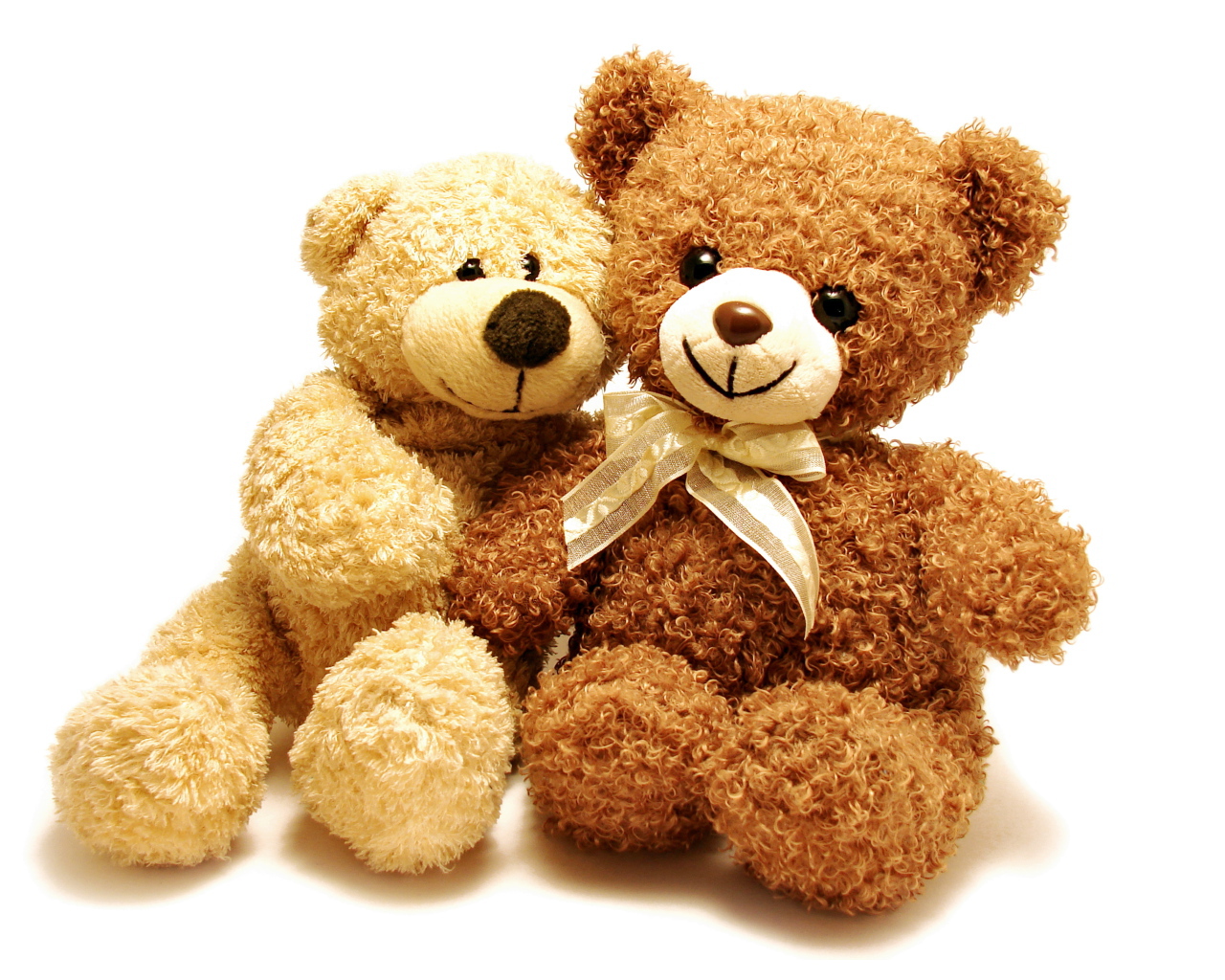 Два медвежонка Тедди на белом фоне