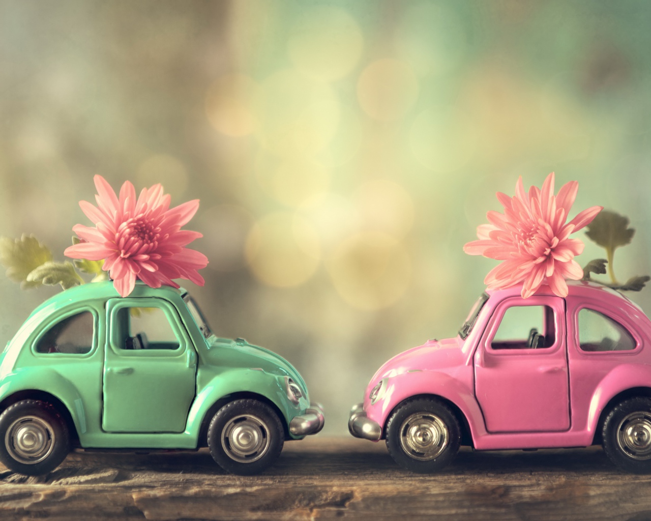 Две игрушечные машинки с цветами розовой хризантемы