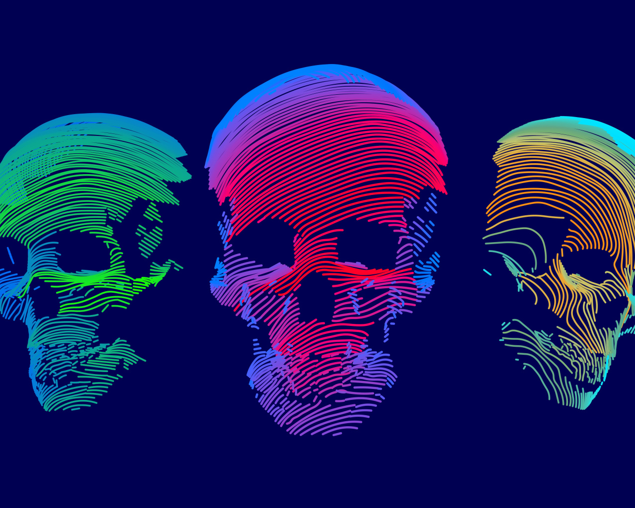 Vector drawing skulls on a blue background