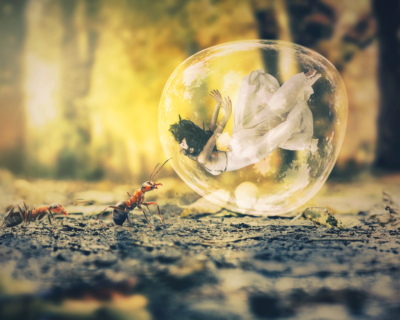 Девушка в пузыре на асфальте с муравьями