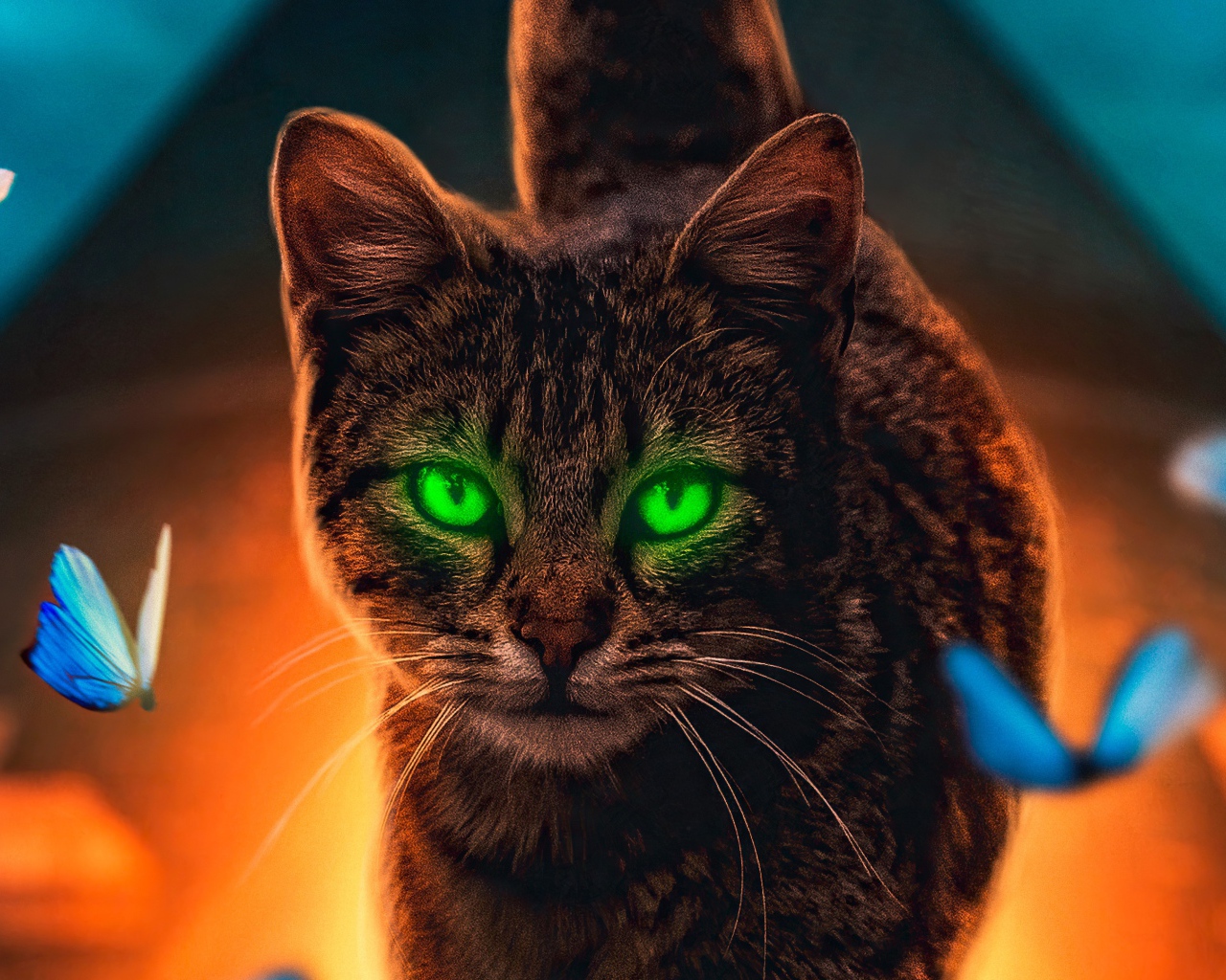 Серый зеленоглазый кот с бабочками
