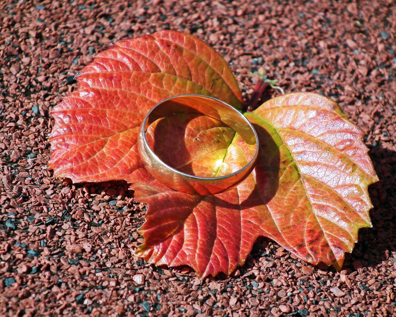 The silver ring lies on an orange leaf