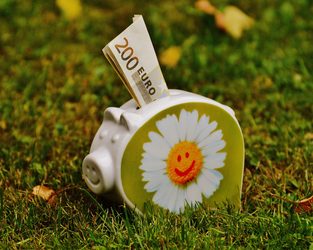 Купюры евро вставлены в свинью копилку с рисунком ромашки