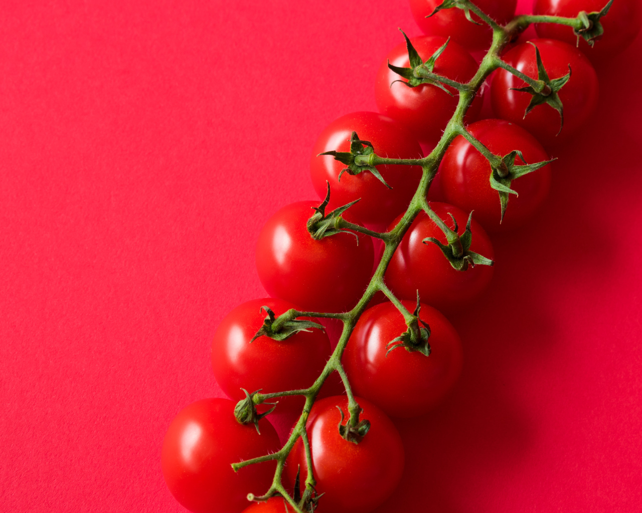 Много красных спелых помидоров на розовом фоне