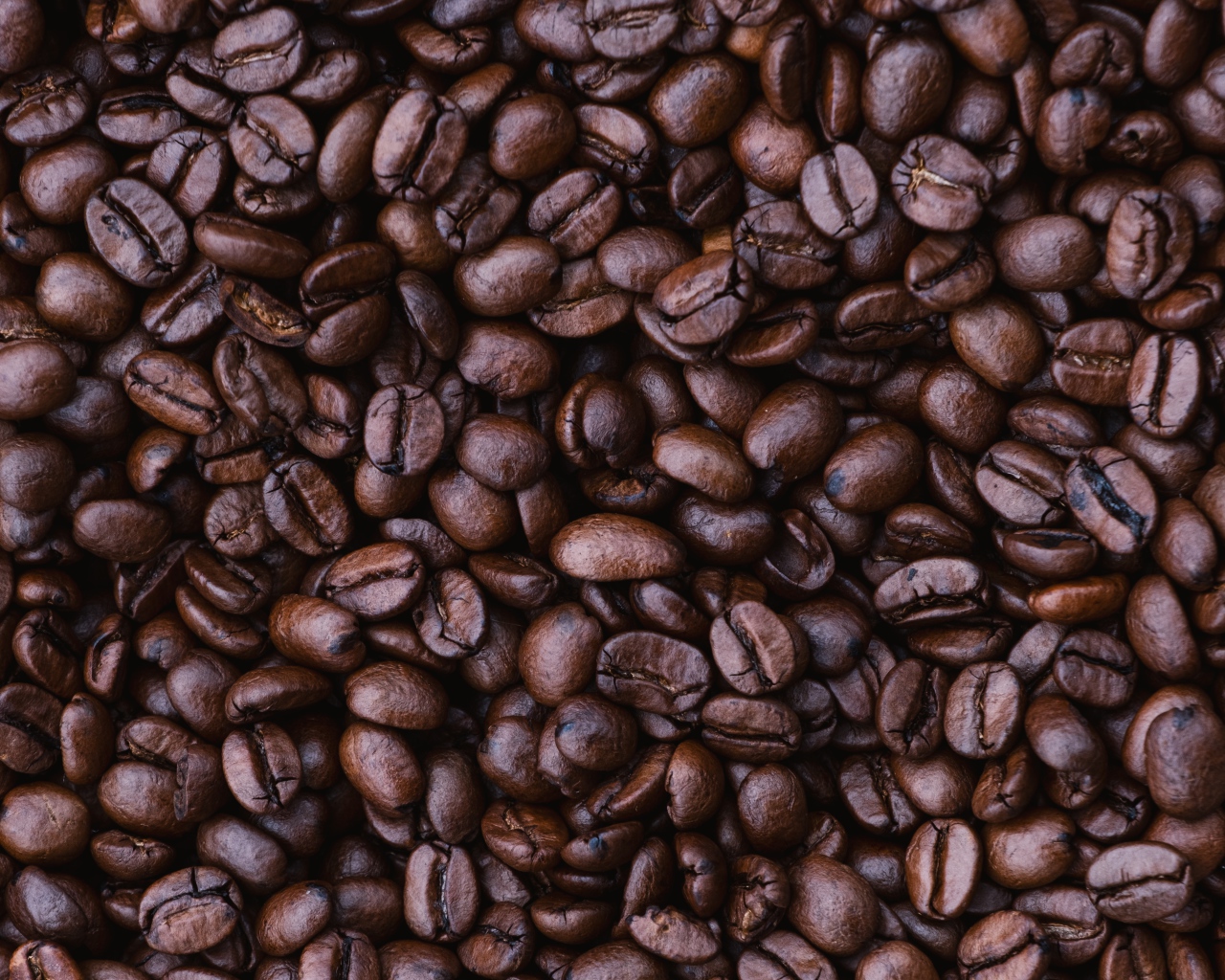 Ароматные зерна кофе арабика 