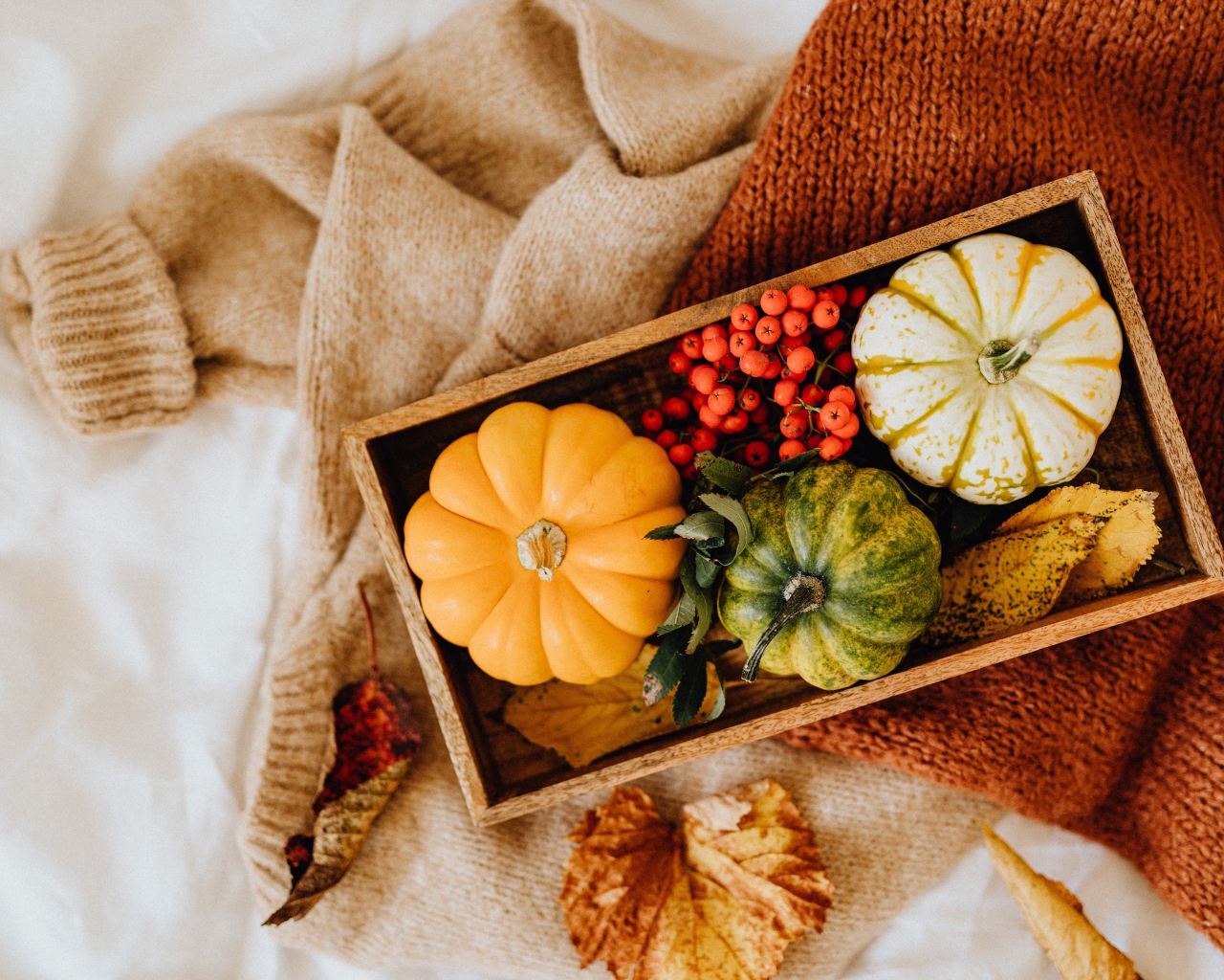 Декоративная тыква в ящике на столе с рябиной