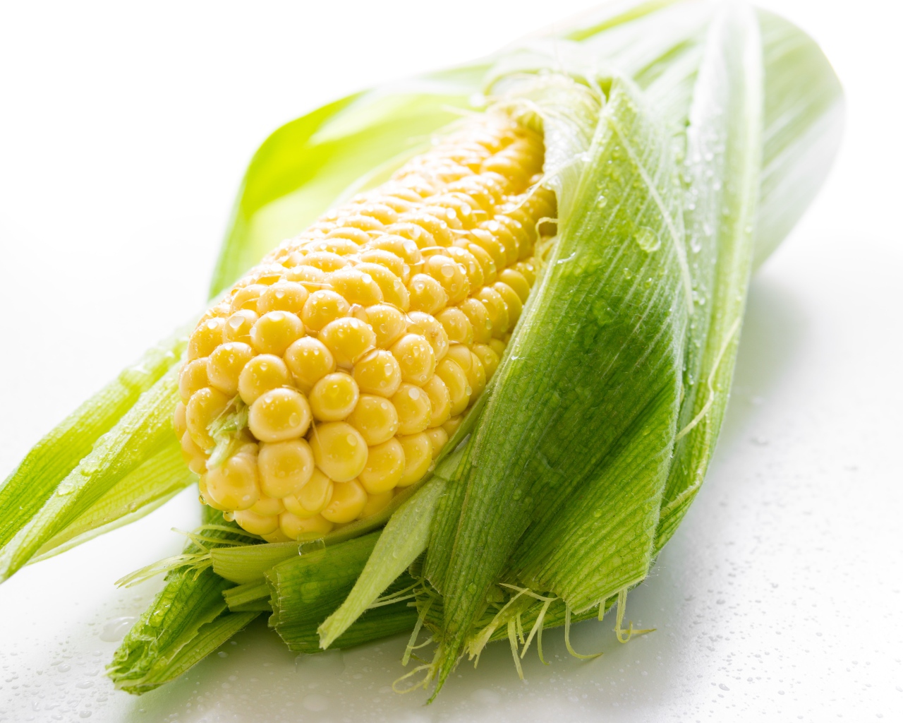 Початок кукурузы в каплях воды на белом фоне