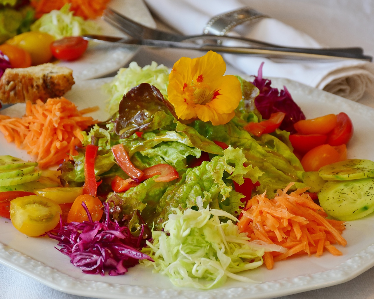 Салат из свежих овощей и зелени на большой белой тарелке 