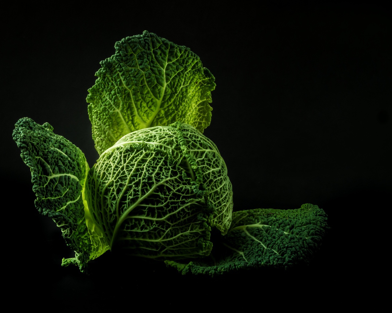 Зеленая капуста на черном фоне крупным планом